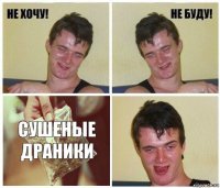 сушеные драники