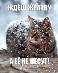 ждёш жратву а её не несут!