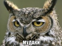  мудаки