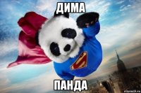 дима панда