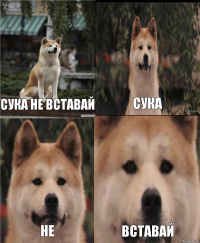 Сука не вставай Сука Не Вставай