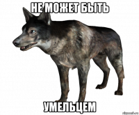 не может быть умельцем