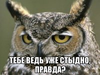  тебе ведь уже стыдно, правда?