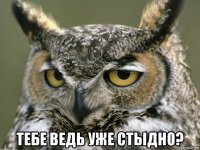  тебе ведь уже стыдно?