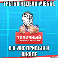 третья неделя учёбы, а я уже привык к школе