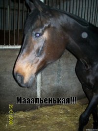 Мааальенькая!!!