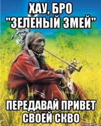 хау, бро "зеленый змей" передавай привет своей скво