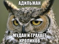 адильжан мудак и трахает кроликов
