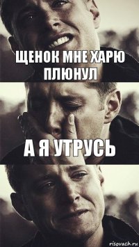 щенок мне харю плюнул а я утрусь  