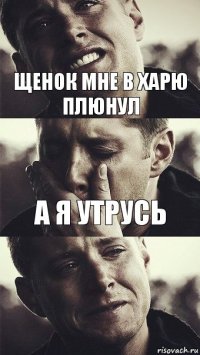 щенок мне в харю плюнул а я утрусь  