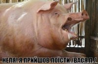 Неля! Я прийшов поїсти /Вася п./