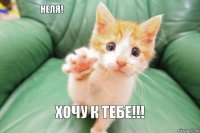 Хочу к тебе!!! Неля!