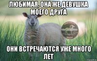 любимая, она же девушка моего друга они встречаются уже много лет