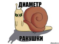 диаметр ракушки