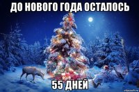 до нового года осталось 55 дней