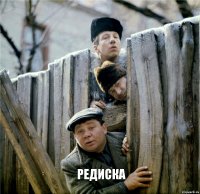  редиска