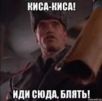 киса-киса! иди сюда, блять!