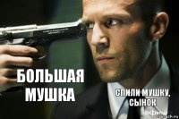 Большая мушка Спили мушку, сынок