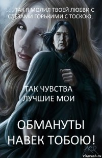 . . . Так я молил твоей любви с слезами горькими с тоскою; Так чувства лучшие мои Обмануты навек тобою!