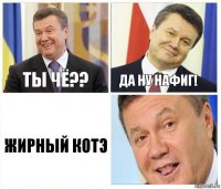 Ты чё?? Да ну нафиг! ЖИРНЫЙ КОТЭ