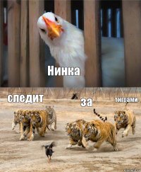 Нинка следит за тиграми 