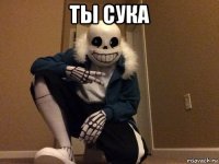 ты сука 