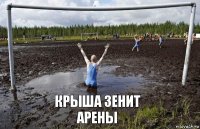 Крыша Зенит Арены