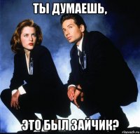 ты думаешь, это был зайчик?