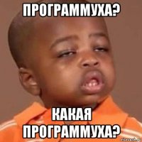 программуха? какая программуха?