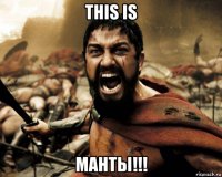 this is манты!!!