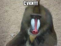 суки!!! 