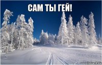  Сам ты гей!