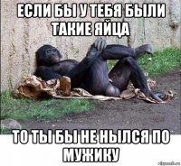 если бы у тебя были такие яйца то ты бы не нылся по мужику