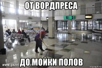 от вордпреса до мойки полов