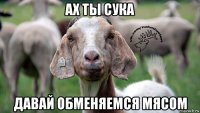 ах ты сука давай обменяемся мясом