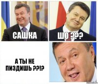 Сашка Шо ??? А ты не пиздишь ??!?