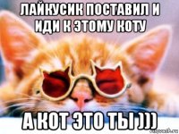 лайкусик поставил и иди к этому коту а кот это ты )))