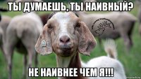 ты думаешь, ты наивный? не наивнее чем я!!!