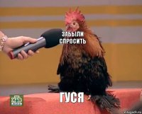 забыли спросить гуся