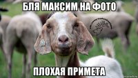 бля максим на фото плохая примета