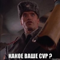  какое ваше cvp ?