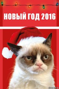 новый год 2016