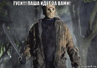 Гуси!!! Паша идет за вами!