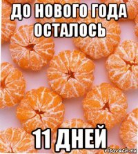 до нового года осталось 11 дней