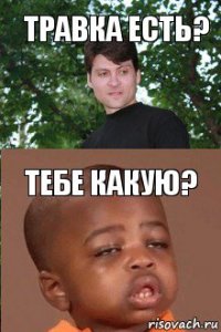 Травка есть? Тебе какую?