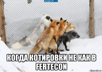  когда котировки не как в fertecon