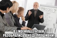  в lindenvalley таки разобрались в коде прошивки!