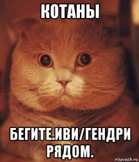 котаны бегите.иви/гендри рядом.