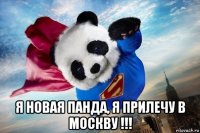  я новая панда, я прилечу в москву !!!