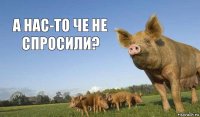 а нас-то че не спросили?